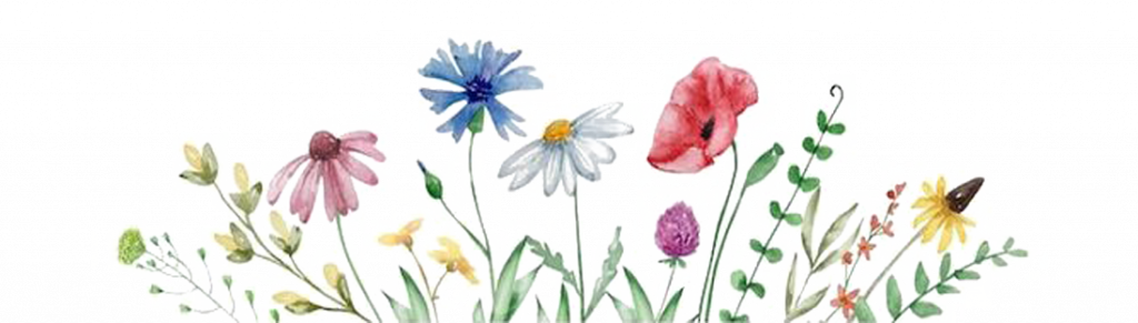 Blumen Banner einfach_freigestellt Kopie_grösser